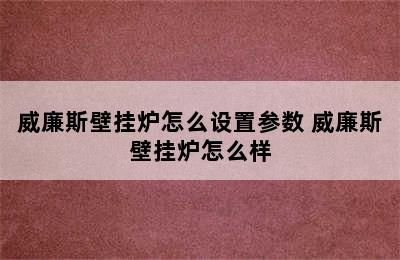 威廉斯壁挂炉怎么设置参数 威廉斯壁挂炉怎么样